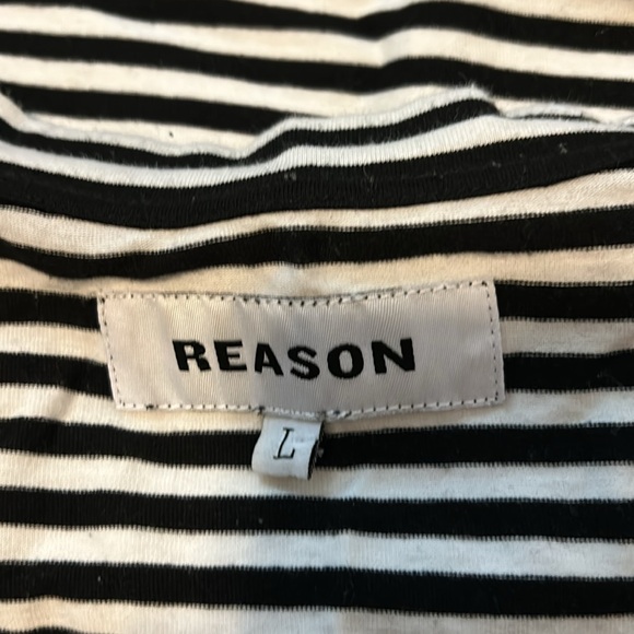 Reason - Picture 8 of 9